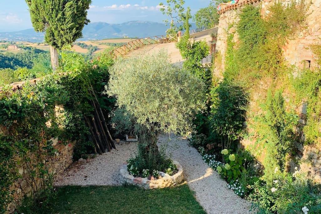 Hotel Il Borgo di Olive Sismano Esterno foto