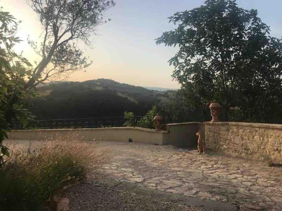 Hotel Il Borgo di Olive Sismano Esterno foto