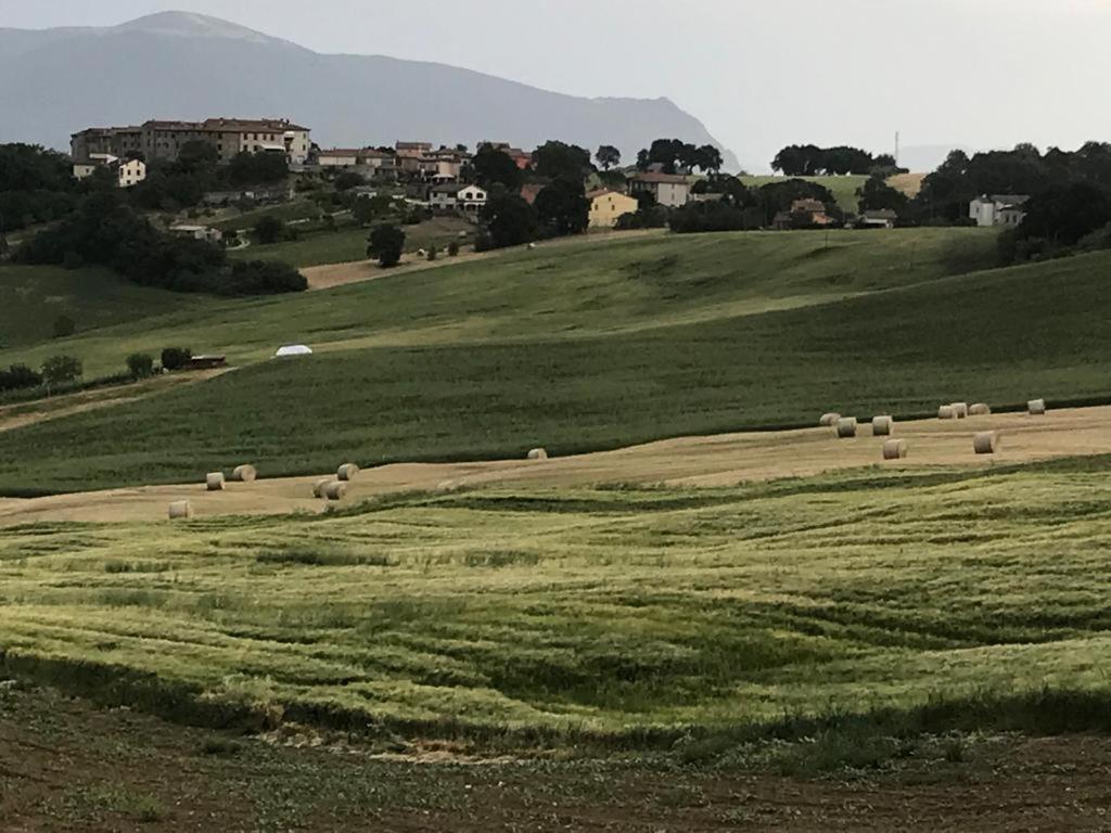 Hotel Il Borgo di Olive Sismano Esterno foto