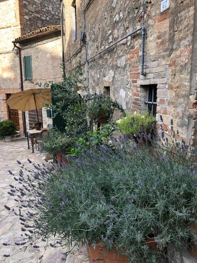 Hotel Il Borgo di Olive Sismano Esterno foto