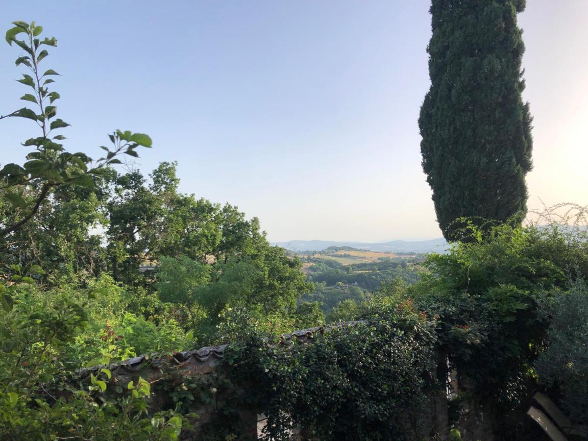 Hotel Il Borgo di Olive Sismano Esterno foto