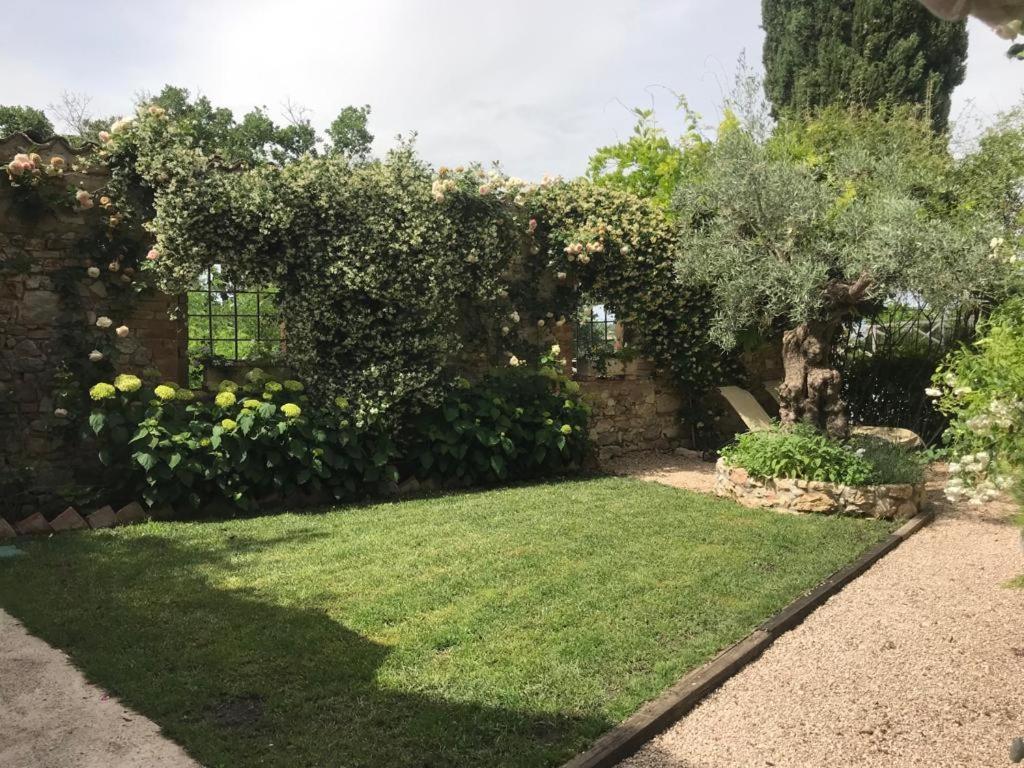 Hotel Il Borgo di Olive Sismano Esterno foto